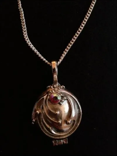 Que contient le pendentif que Stefan a offert  Elena ?