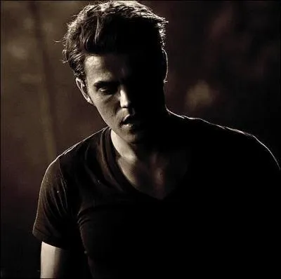 Pourquoi Stefan va-t-il voir Klaus et lui demander son aide ?