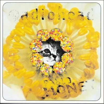 Trouvez le nom et l'interprte de cet album...