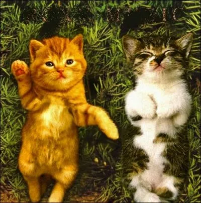 Trouvez le nom et l'interprte de cet album...