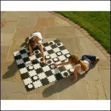 Pions blancs contre noirs, chacun tente de traverser le plateau et doubler son pion pour plus facilement capturer tous les pions adverses.