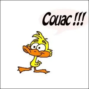 A quelle occasion le canard est-il malvenu ?