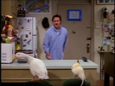 Dans quelle srie tlvise le canard Rantanplan est-il le compagnon de Joey et Chandler ?