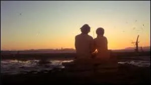 En regardant le coucher de soleil en amoureux, que dcouvre Harold sur son amour Maude ?