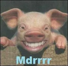 On rassemble sur un corps de cochon les pattes, oreilles, yeux et queue en tire-bouchon pour gagner en fonction d'un jet de trois ds ...