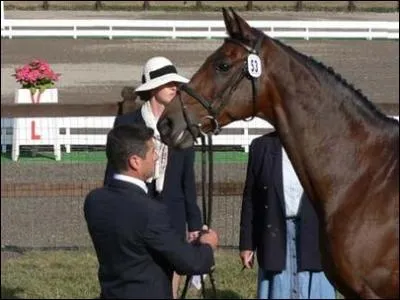 Comment s'appelait le cheval mont par Jean Teulre lors des JO de 2004, et qui permit  l'quipe de France d'quitation de remporter une mdaille d'or ?