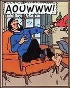 Dans quel album le capitaine Haddock se fait-il mordre par un perroquet ?