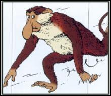 Dans quel album remarque-t-on un singe nasique dont le nez n'est pas sans rappeler celui de Rastapopoulos ?