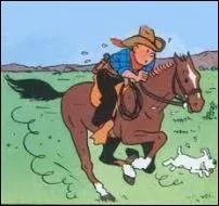 Dans quel album Tintin galope-t-il  cheval ?