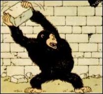 Dans quel album Tintin doit-il affronter un énorme gorille ?