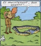 Dans quel album Tintin maltraite-t-il tous les animaux sauvages, en particulier ce malheureux boa ?