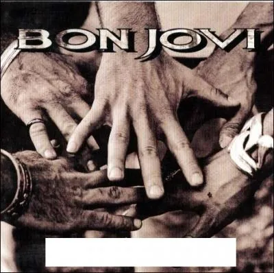 Quel nom porte cet album de Bon Jovi ?