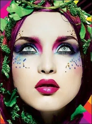 Sur le site web de quelle compagnie peut-on voir cette photo ?