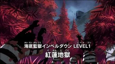 Quel est le surnom du level 1 ?