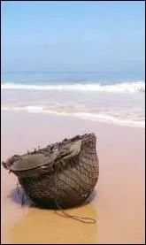  Les sanglots longs des violons de l'automne, blessent mon coeur d'une langueur monotone ...  , c'est la premire strophe d'un clbre pome de :