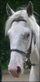 De quoi sont composs les floconns ?