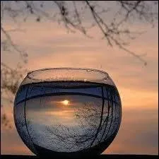 État de ce qui est vide ...