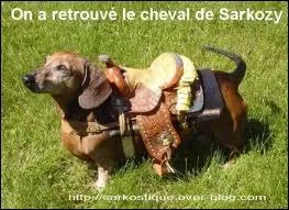 Quel hros ne doit pas confondre sa monture Jolly Jumper avec le chien Rantanplan ?