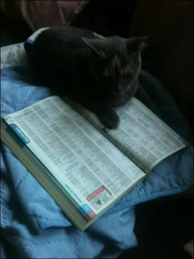 Quel numro doit-on composer pour joindre le SAMU (Urgences mdicales en agglomration) en France ?