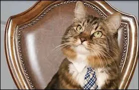 Prsident franais laissant une chaise vide en ayant prononc ces derniers mots  Au revoir  dans son ultime dclaration tlvise en quittant sa fonction.