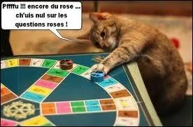 Jeu de culture gnrale o les bonnes rponses peuvent donner droit  des camemberts ...