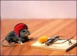 Sert pour attraper les souris avec un appt :