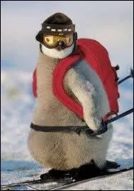 On retrouve  le Splendid  pour une deuxime fois et pour notre plus grand bonheur dans ce film culte :