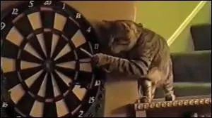 Jeux d'adresses  cases doubles et triples :