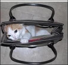 Accessoire de mode de toutes tailles permettant de transporter divers objets principalement pour les dames :