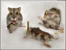 Petite collation entre amis souvent avant le repas ...