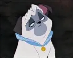 Quel est le nom du chien du gouverneur dans  Pocahontas  ?