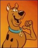 Quel est le nom du chien mascotte de l'quipe de  Mystre&Cie  ?