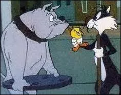 Quel est le nom du chien qui protge Titi de Grosminet ?