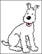 Quel est le nom de ce chien qui raffole des os et se laisse parfois tenter par quelques lapes de whisky  Loch Lomond  ?