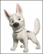 Quel est le nom de ce chien dont la jeune matresse s'appelle Penny ?