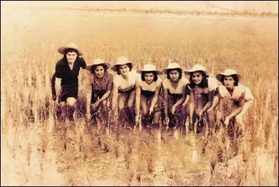 Parmi plusieurs surnoms, la ville que nous visitons aujourd'hui est surnomme  la cit mondine , en rfrence  :