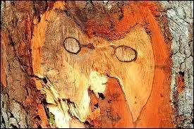 L'adjectif âcre signifie piquant, et se rapporte tant au goût qu'à l'odeur. Quel est le mot proposé tirant son existence de la même étymologie ?