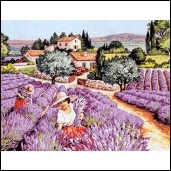 "C'est au [...] que je reconnaîtrai la patrie de mon enfance : senteurs d'une [...] , fumet de la [...] , bouquet [...]. du pharmacien".
 Complétez afin de respecter l'ordre et le sens voulu par G. Duhamel.