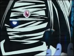 De quel manga vient Shiki ?