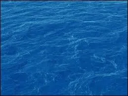 Si oui, o sont-ils les plus nombreux ?