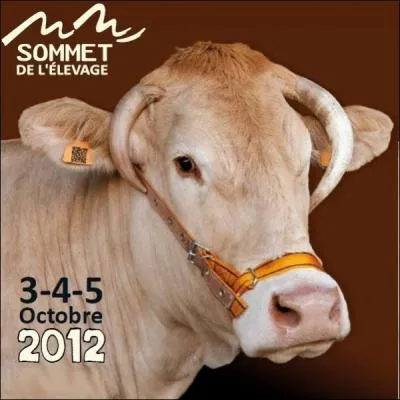 Les vaches ont leur sommet ! O se droule ce week-end le 21me Sommet de l'Elevage , runion des Stars  cornes de l'levage franais ?