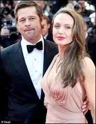 Combien d'enfants Angelina Jolie et Brad Pitt ont-ils eus ?