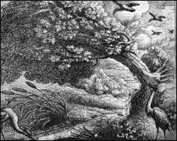 Que fait le roseau de la fable lorsqu'il est soumis  la tempte ?