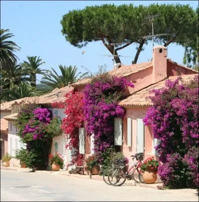 C'est la perle des les d'Hyres , face  la presqu'le de Giens, on peut y visiter le fort du Grand Langoustier ... .