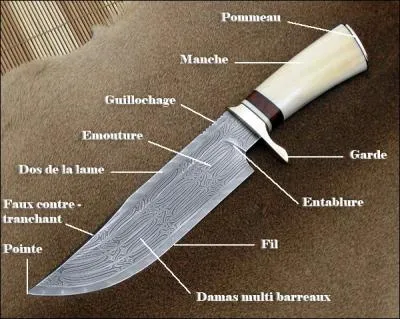 La victimation est le fait...