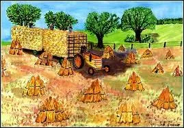 Retrouvez les noms qui ont t emprunts  des matires plus ou moins jaunes.