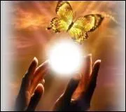 - et surveille le moindre mouvement (... ) mes mains.