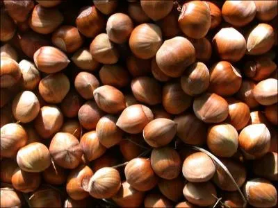 Quel nom porte ce dessert traditionnel du Nol provenal ?