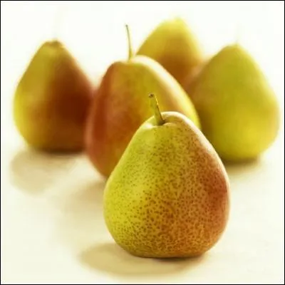 Quel nom porte ce dessert traditionnel du Nol provenal ?