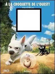 Quel est ce film d'animation ?